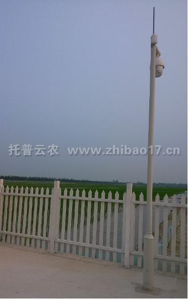视频监控