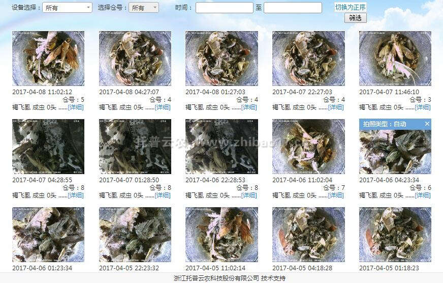 实时虫情查看