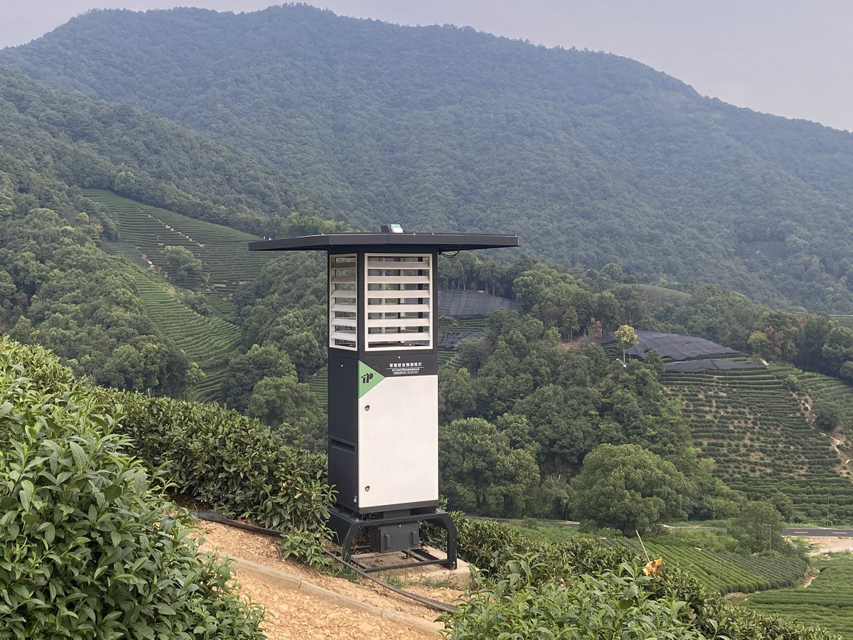 西湖龙井生态茶园基地.jpg