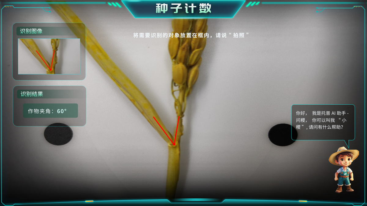 作物夹角分析.png