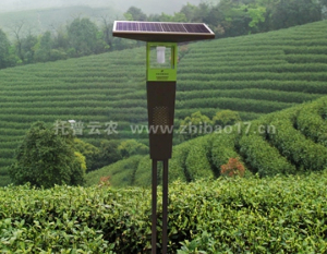风吸式茶园杀虫灯在病虫害绿色防控技术中的作用